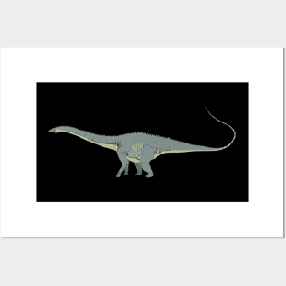 Diplodocus Dinosaur Posters and Art